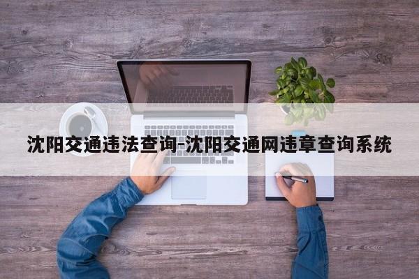 沈阳交通违法查询-沈阳交通网违章查询系统