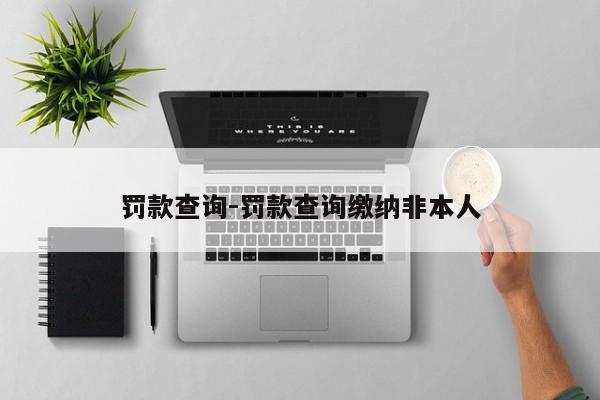 罚款查询-罚款查询缴纳非本人