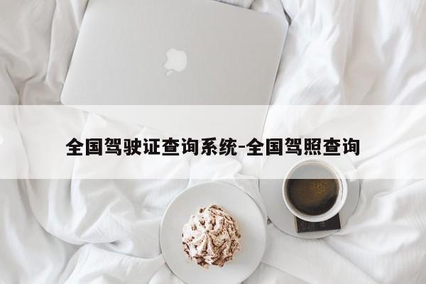 全国驾驶证查询系统-全国驾照查询