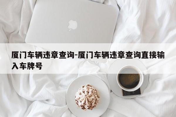 厦门车辆违章查询-厦门车辆违章查询直接输入车牌号