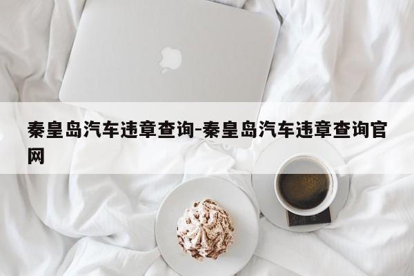 秦皇岛汽车违章查询-秦皇岛汽车违章查询官网