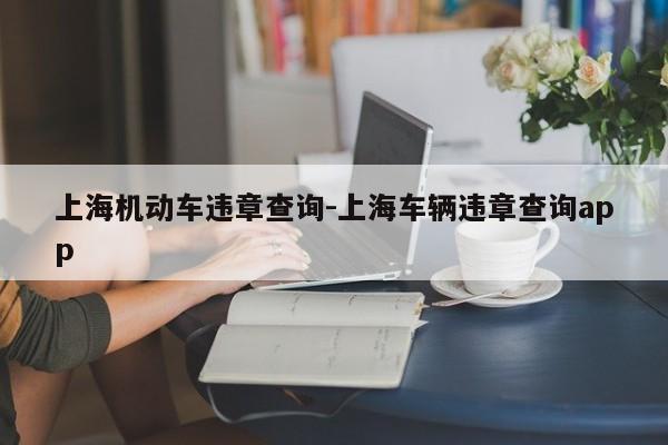 上海机动车违章查询-上海车辆违章查询app