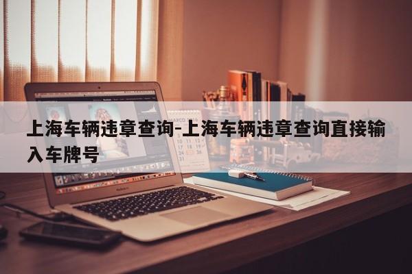 上海车辆违章查询-上海车辆违章查询直接输入车牌号