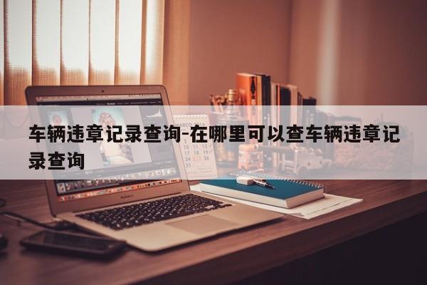 车辆违章记录查询-在哪里可以查车辆违章记录查询