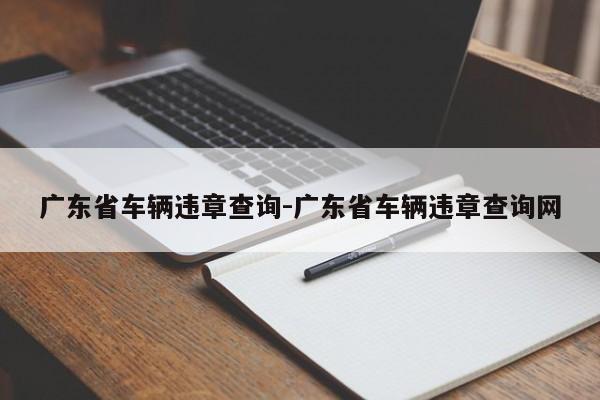 广东省车辆违章查询-广东省车辆违章查询网