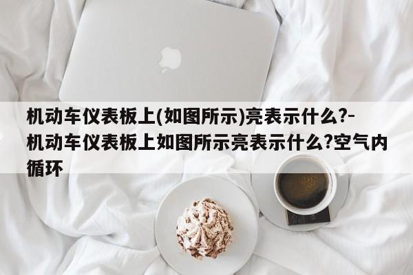 机动车仪表板上(如图所示)亮表示什么?-机动车仪表板上如图所示亮表示什么?空气内循环