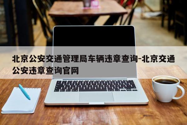 北京公安交通管理局车辆违章查询-北京交通公安违章查询官网