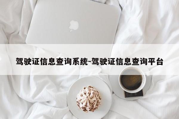 驾驶证信息查询系统-驾驶证信息查询平台