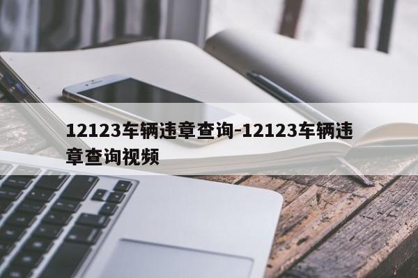 12123车辆违章查询-12123车辆违章查询视频