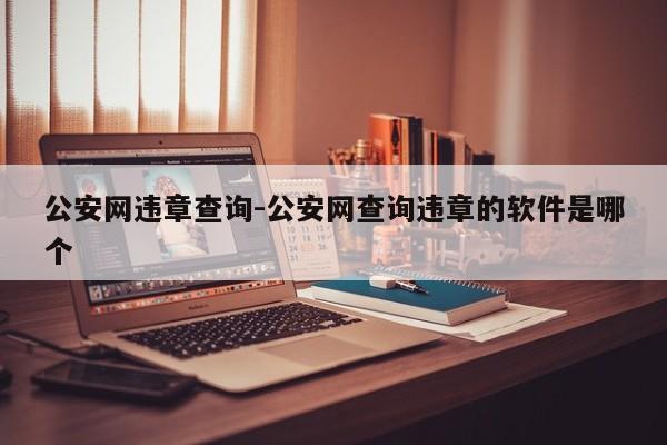 公安网违章查询-公安网查询违章的软件是哪个