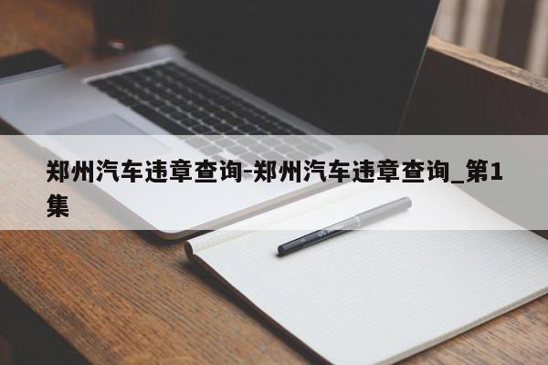 郑州汽车违章查询-郑州汽车违章查询_第1集