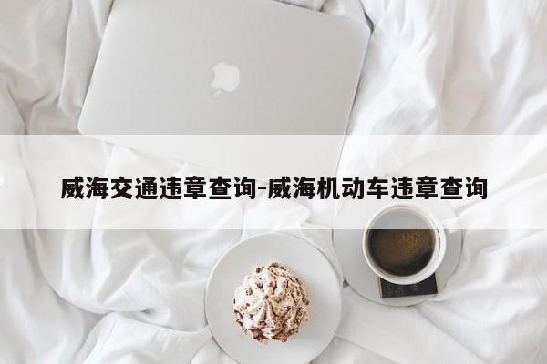 威海交通违章查询-威海机动车违章查询