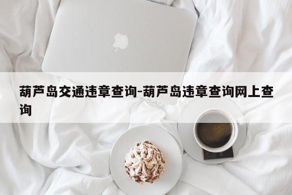 葫芦岛交通违章查询-葫芦岛违章查询网上查询