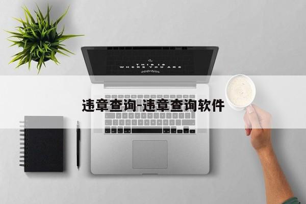 违章查询-违章查询软件