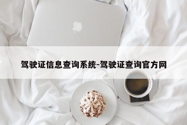 驾驶证信息查询系统-驾驶证查询官方网