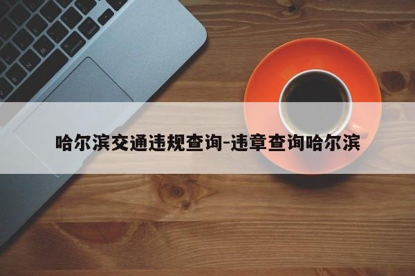 哈尔滨交通违规查询-违章查询哈尔滨