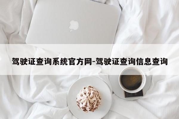 驾驶证查询系统官方网-驾驶证查询信息查询