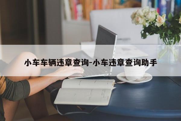 小车车辆违章查询-小车违章查询助手