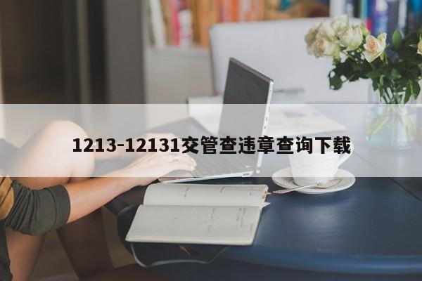 1213-12131交管查违章查询下载